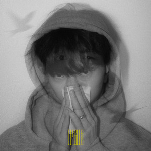 游艇狂欢HD版游戏特色有哪些
