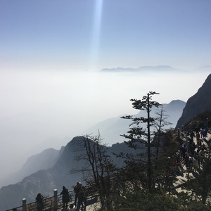 游艇狂欢HD版游戏特色有哪些
