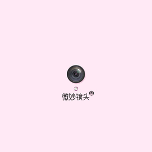 游艇狂欢HD版游戏特色有哪些
