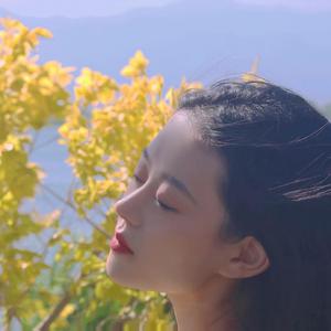 游艇狂欢HD版游戏特色有哪些
